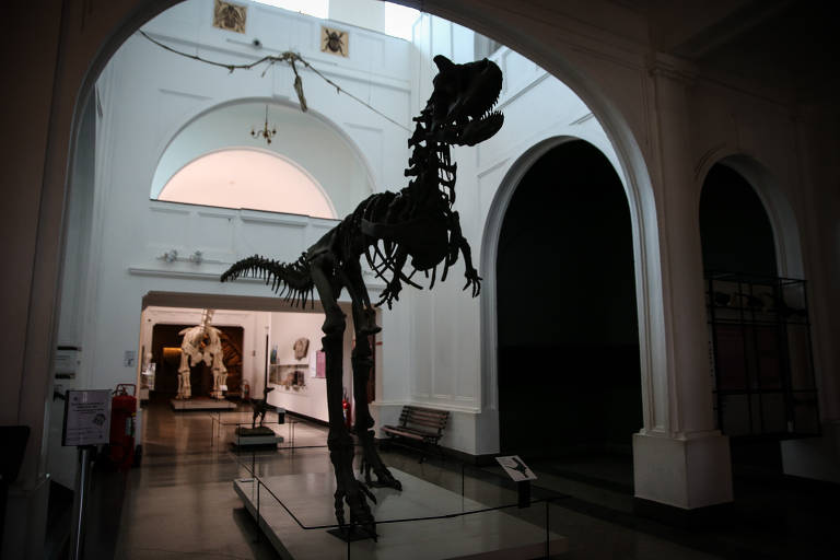 Museu de Zoologia da USP — passeio para crianças
