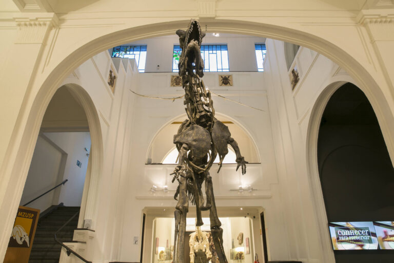 Museu de Zoologia da USP — passeio para crianças