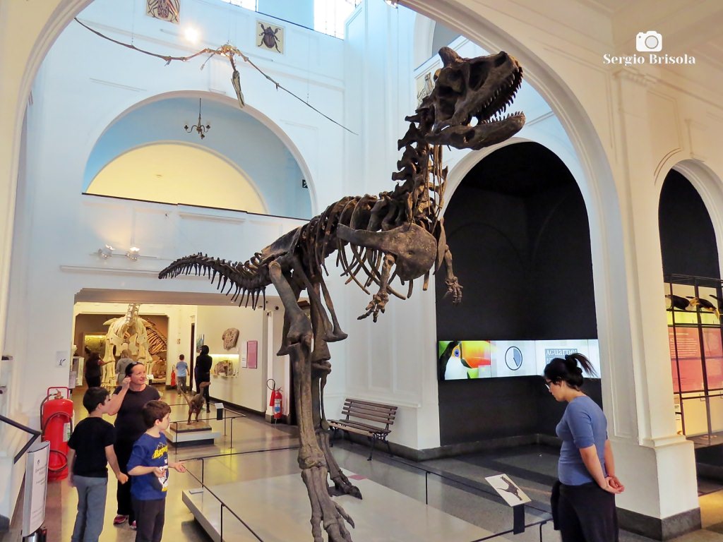 Museu de Zoologia da USP — passeio para crianças