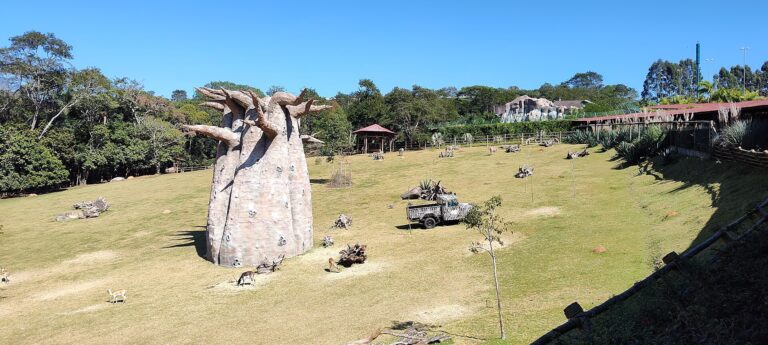 Animais na área de savana do Animália Park