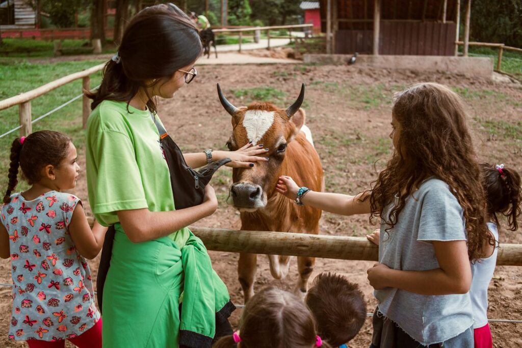 Bichomania Parque Fazenda — passeio infantil
