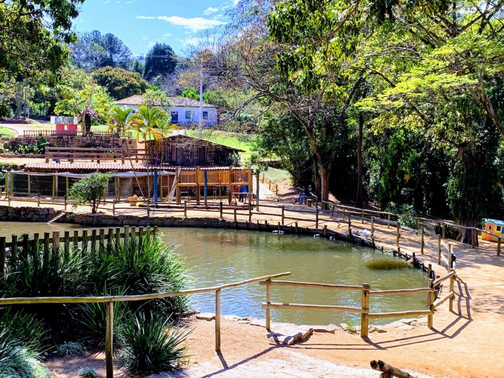 Área verde com animais na Fazenda do Chocolate