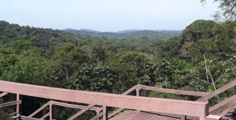 Parque Ecológico Imigrantes — passeio para crianças