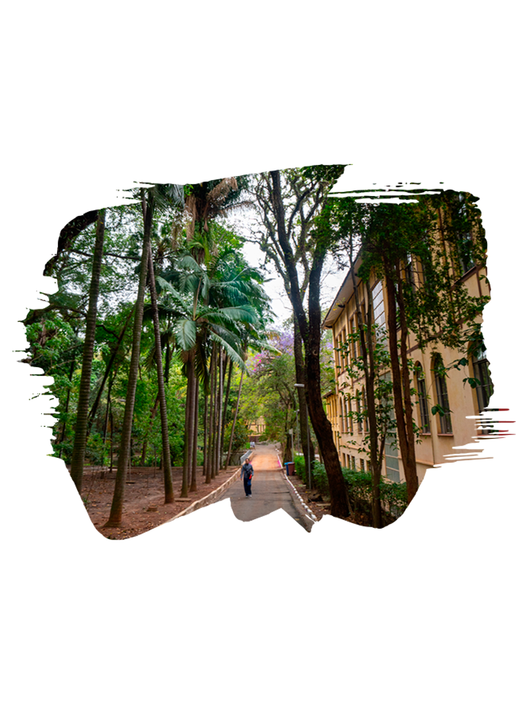 Parque da Água Branca — foto do passeio